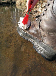 Puhdista/kuivaa tuote.