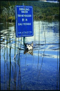 Katadyn - Making water drinking water.
